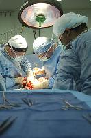 Состоялось общественное обсуждение вопросов органной трансплантологии