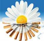 12 февраля Государственной Думой России в третьем чтении был принят проект Федерального закона РФ «Об охране здоровья населения от воздействия окружающего табачного дыма и последствий потребления табака»