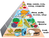 В Саратове прошла конференция «Роль питания в сохранении и укреплении здоровья населения Саратовской области»