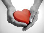 Состоялся слет доноров «От сердца к сердцу»