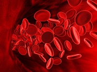 Саратовские кардиологи приглашают всех желающих бесплатно измерить свертываемость крови